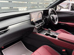 LEXUS RX500h