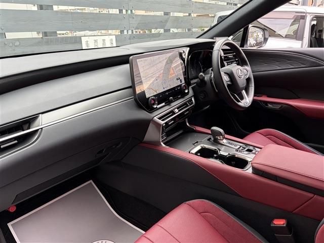 LEXUS RX500h