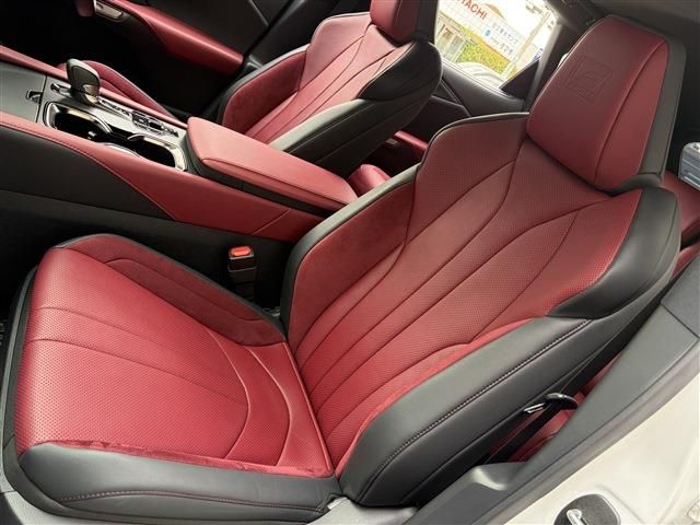 LEXUS RX500h