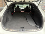 LEXUS RX500h