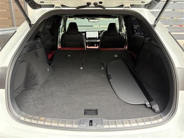 LEXUS RX500h