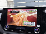 LEXUS RX500h