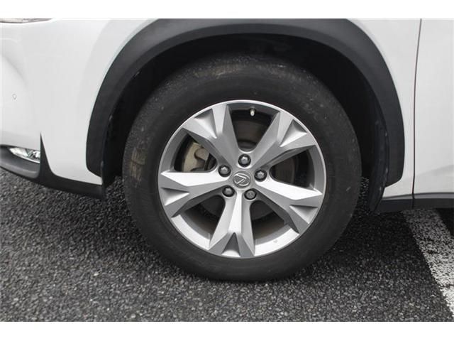 LEXUS NX300h