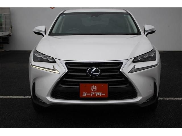 LEXUS NX300h