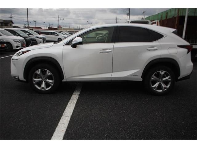 LEXUS NX300h