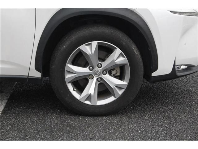 LEXUS NX300h