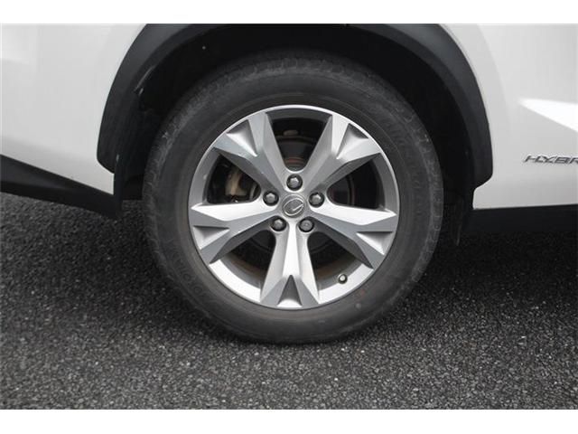 LEXUS NX300h