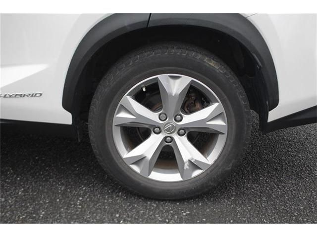 LEXUS NX300h