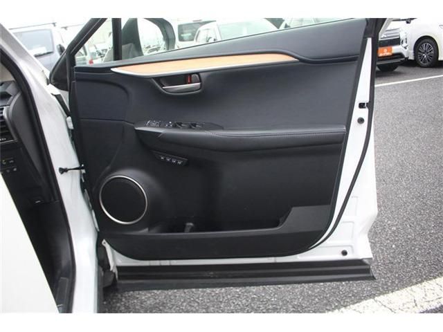 LEXUS NX300h