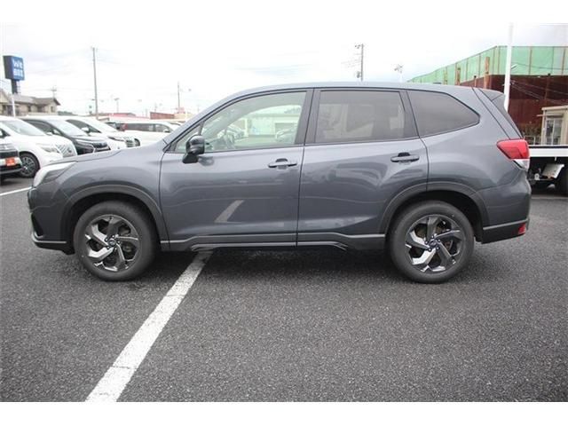 FORESTER