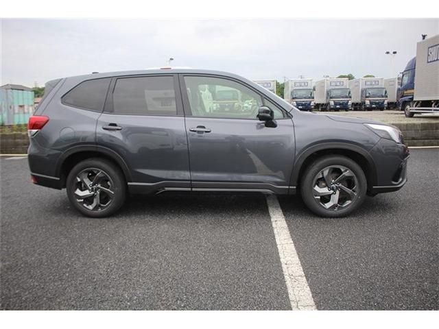 FORESTER