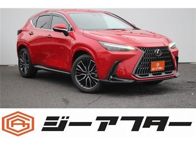 LEXUS NX350h AWD
