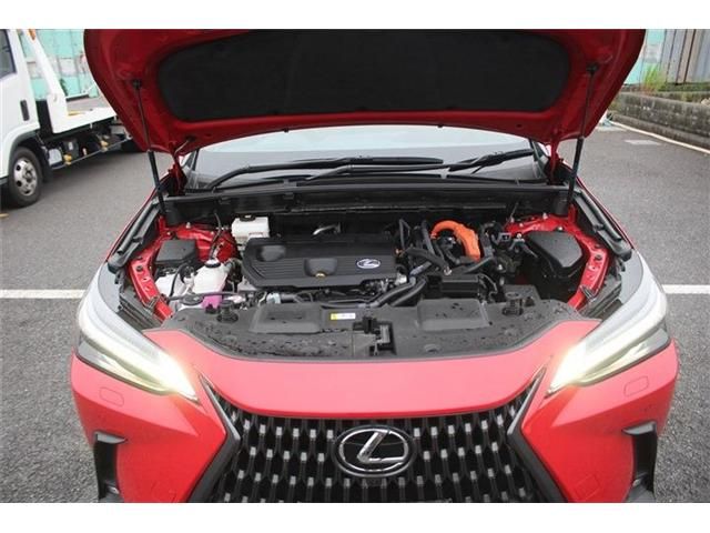 LEXUS NX350h AWD