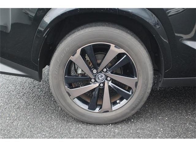 LEXUS NX300