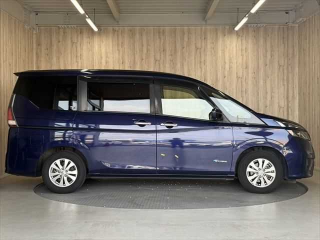 SERENA  S-HYBRID