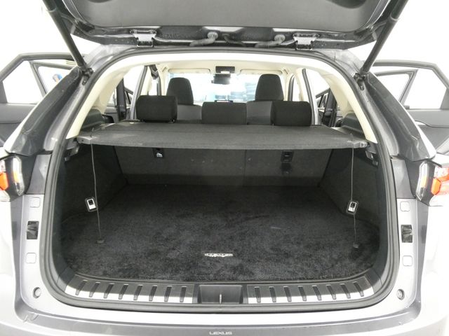 LEXUS NX200t