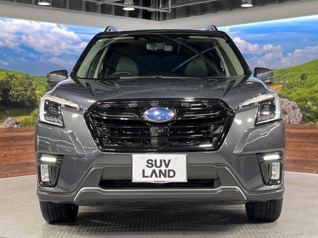 FORESTER