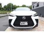 LEXUS NX350h