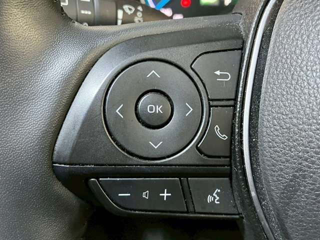 RAV4 HYBRID 4WD
