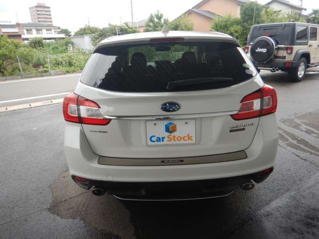 LEVORG