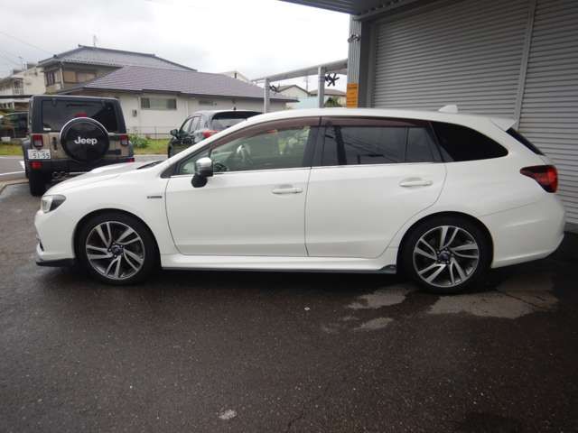 LEVORG