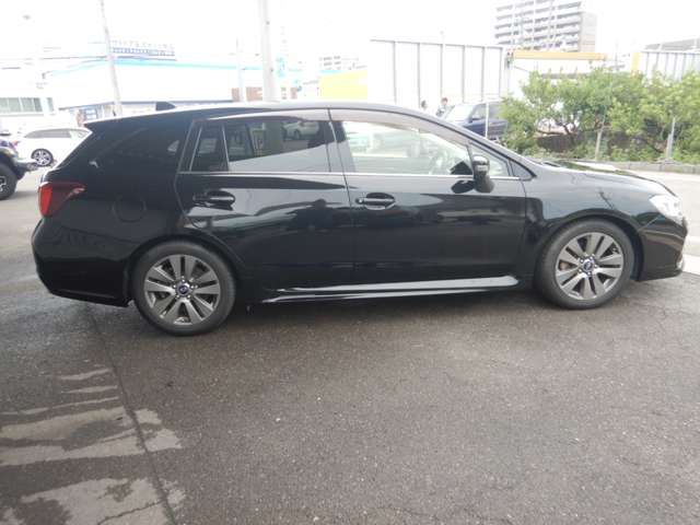LEVORG
