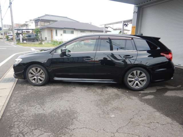 LEVORG
