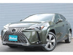 LEXUS UX250h
