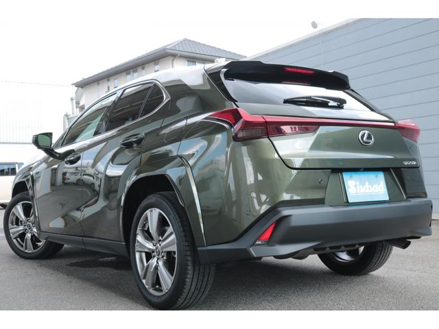 LEXUS UX250h