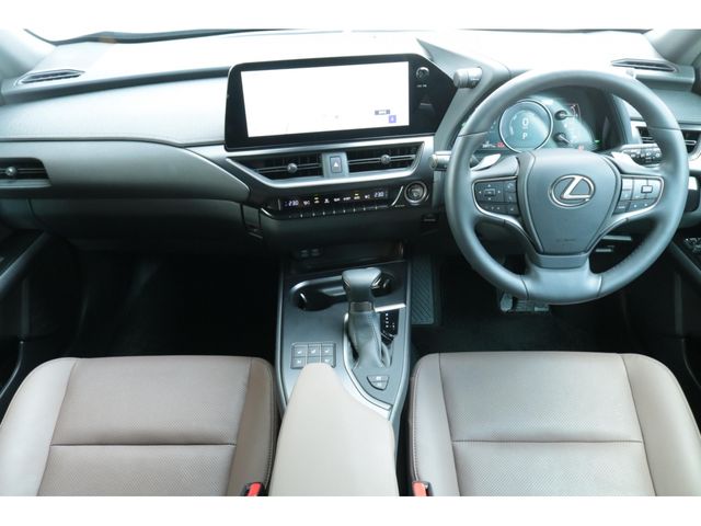 LEXUS UX250h