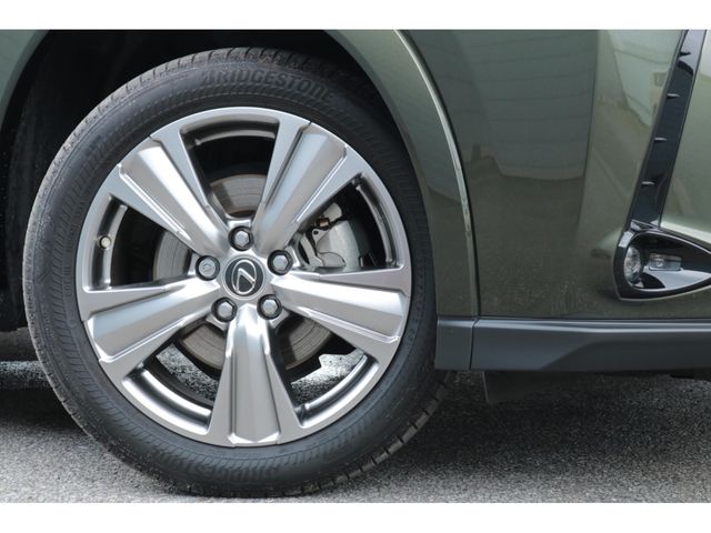 LEXUS UX250h