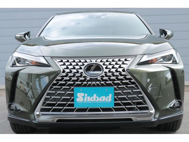 LEXUS UX250h