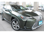 LEXUS UX250h