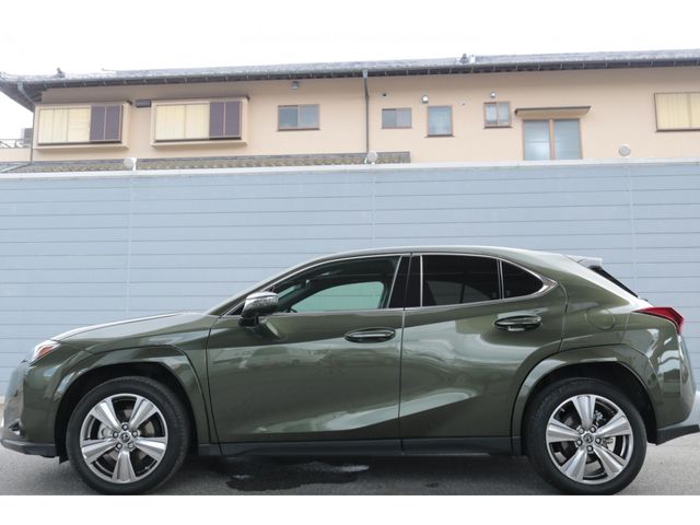 LEXUS UX250h