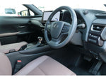 LEXUS UX250h