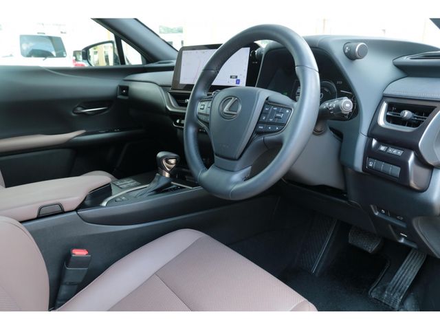 LEXUS UX250h