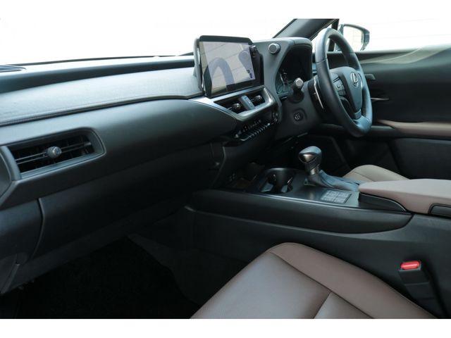 LEXUS UX250h