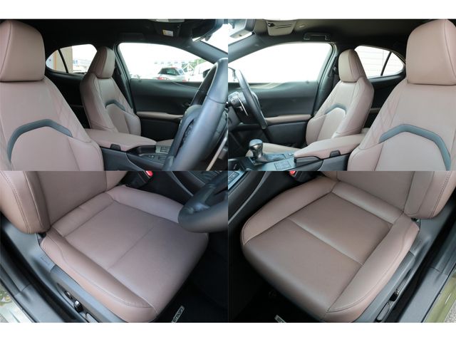 LEXUS UX250h