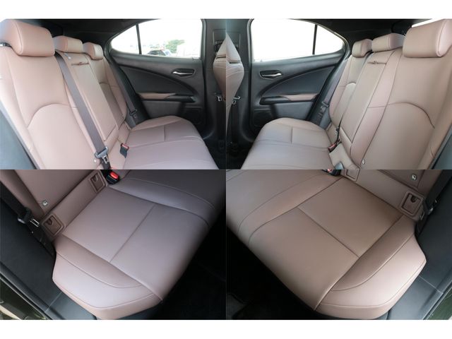 LEXUS UX250h