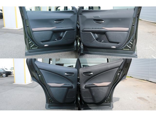 LEXUS UX250h