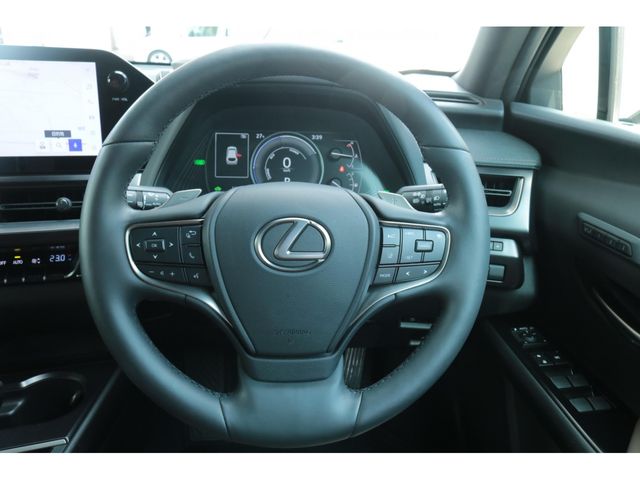 LEXUS UX250h