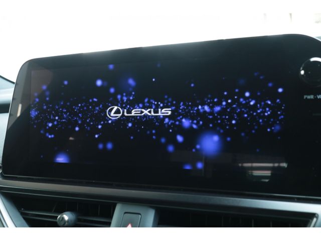 LEXUS UX250h