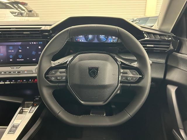 PEUGEOT 308SW