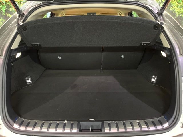LEXUS NX300h