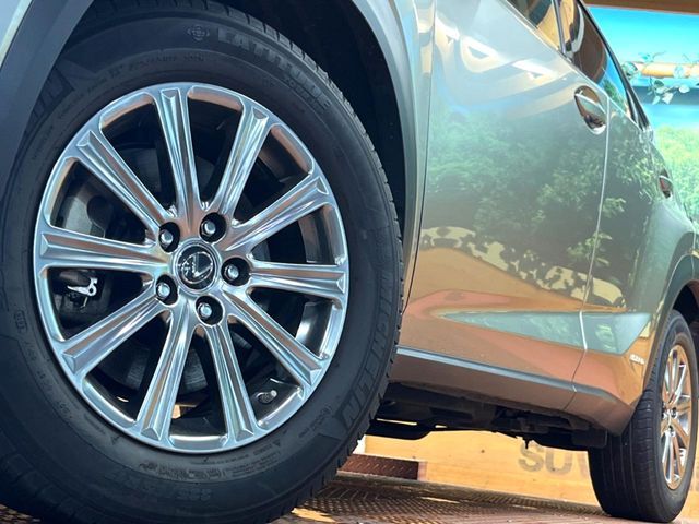 LEXUS NX300h