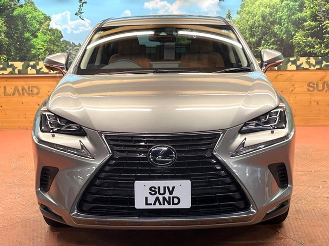LEXUS NX300h
