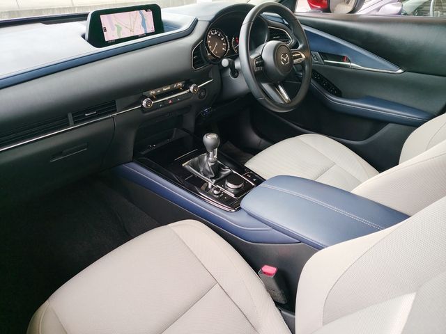 CX-30