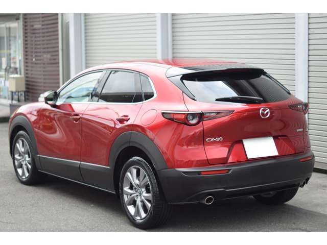 CX-30
