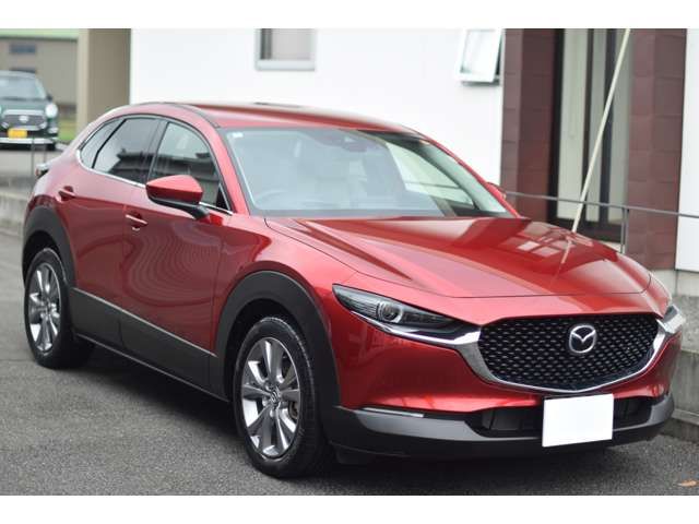 CX-30