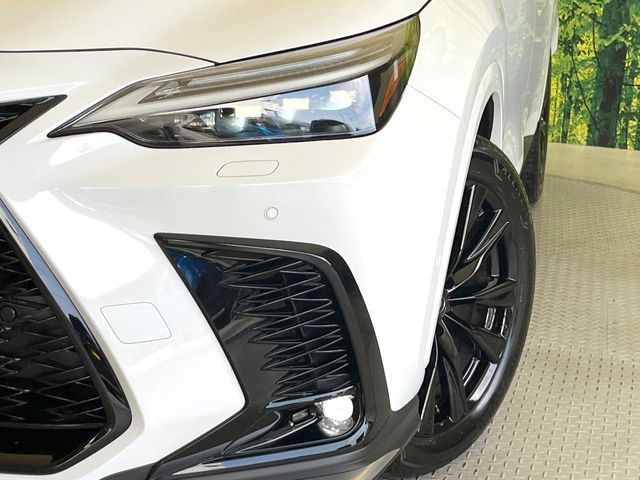 LEXUS NX350h